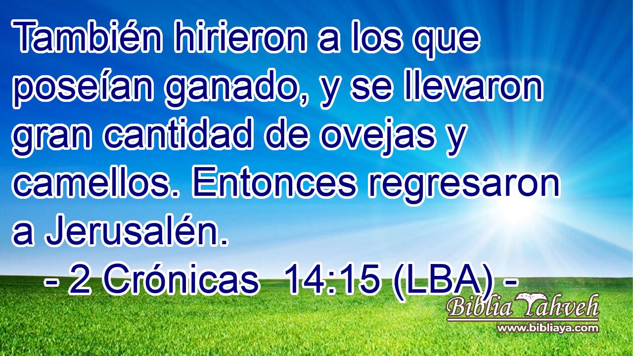 También hirieron a los que poseían ganado, y se llevaron gran cantidad de ovejas y camellos. Entonces regresaron a Jerusalén.