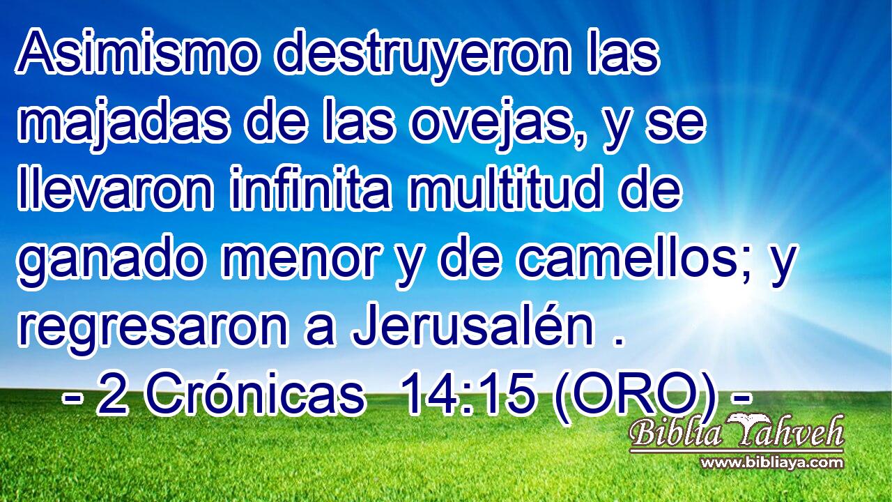  Asimismo destruyeron las majadas de las ovejas, y se llevaron infinita multitud de ganado menor y de camellos; y regresaron a Jerusalén . 