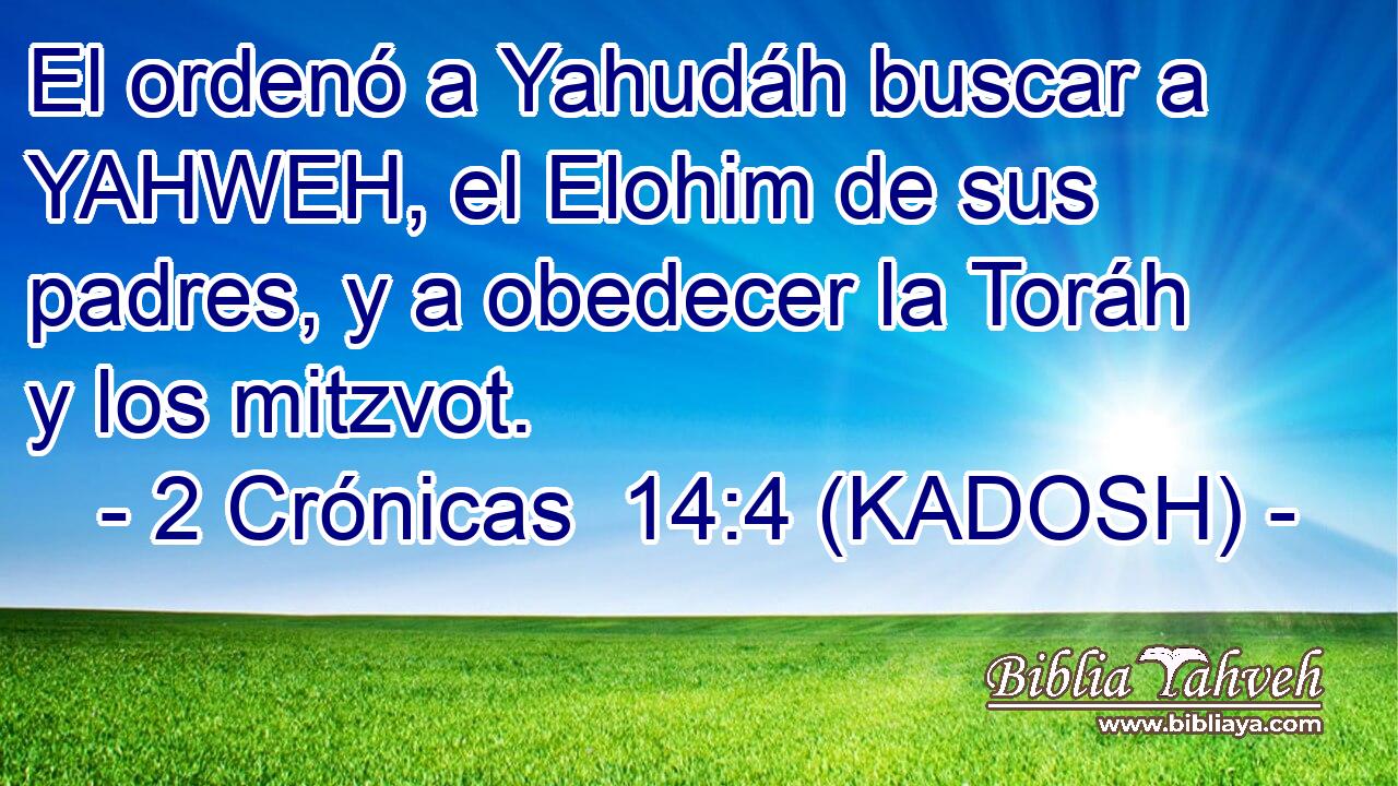  El ordenó a Yahudáh buscar a YAHWEH, el Elohim de sus padres, y a obedecer la Toráh y los mitzvot. 