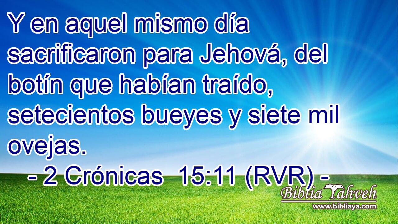 Y en aquel mismo día sacrificaron para Jehová, del botín que habían traído, setecientos bueyes y siete mil ovejas.