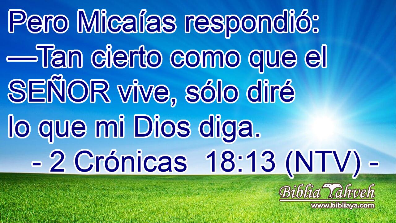 Pero Micaías respondió: —Tan cierto como que el SEÑOR vive, sólo diré lo que mi Dios diga.