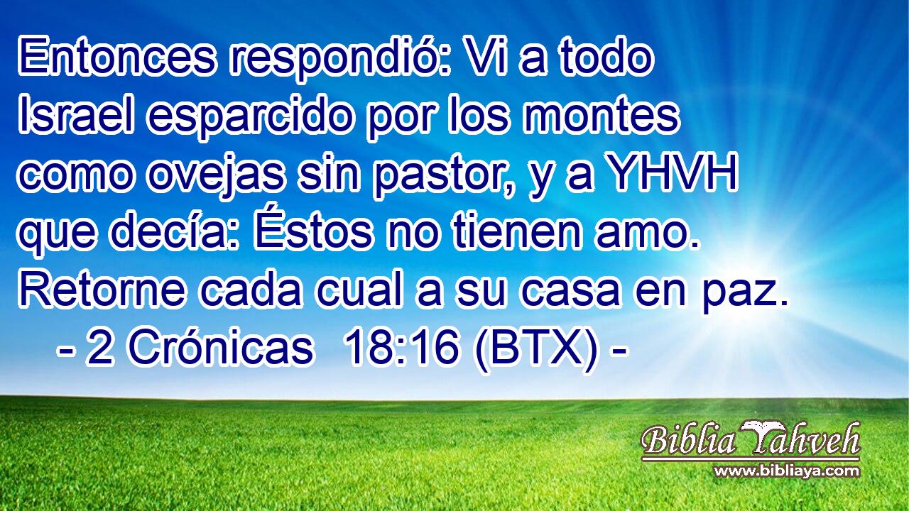 Entonces respondió: Vi a todo Israel esparcido por los montes como ovejas sin pastor, y a YHVH que decía: Éstos no tienen amo. Retorne cada cual a su casa en paz.