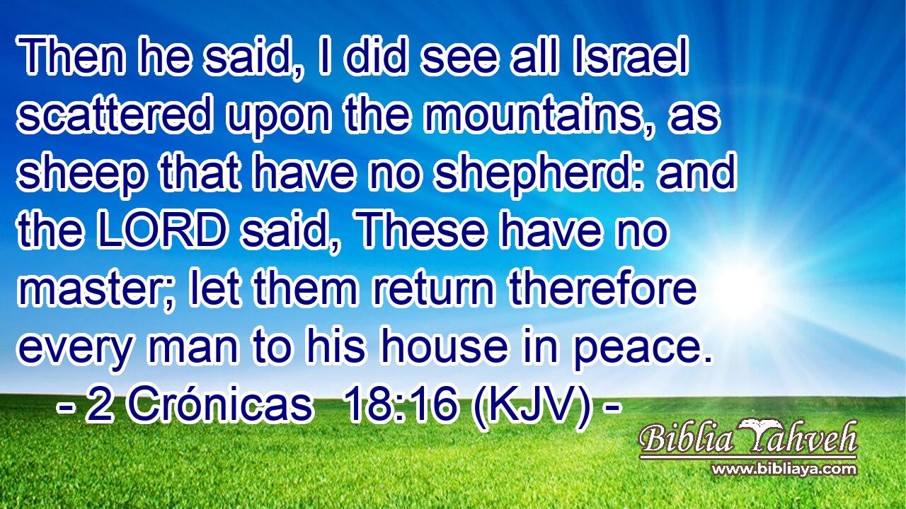 Then he said, I did see all Israel scattered upon the mountains, as sheep that have no shepherd: and the LORD said, These have no master; let them return therefore every man to his house in peace.