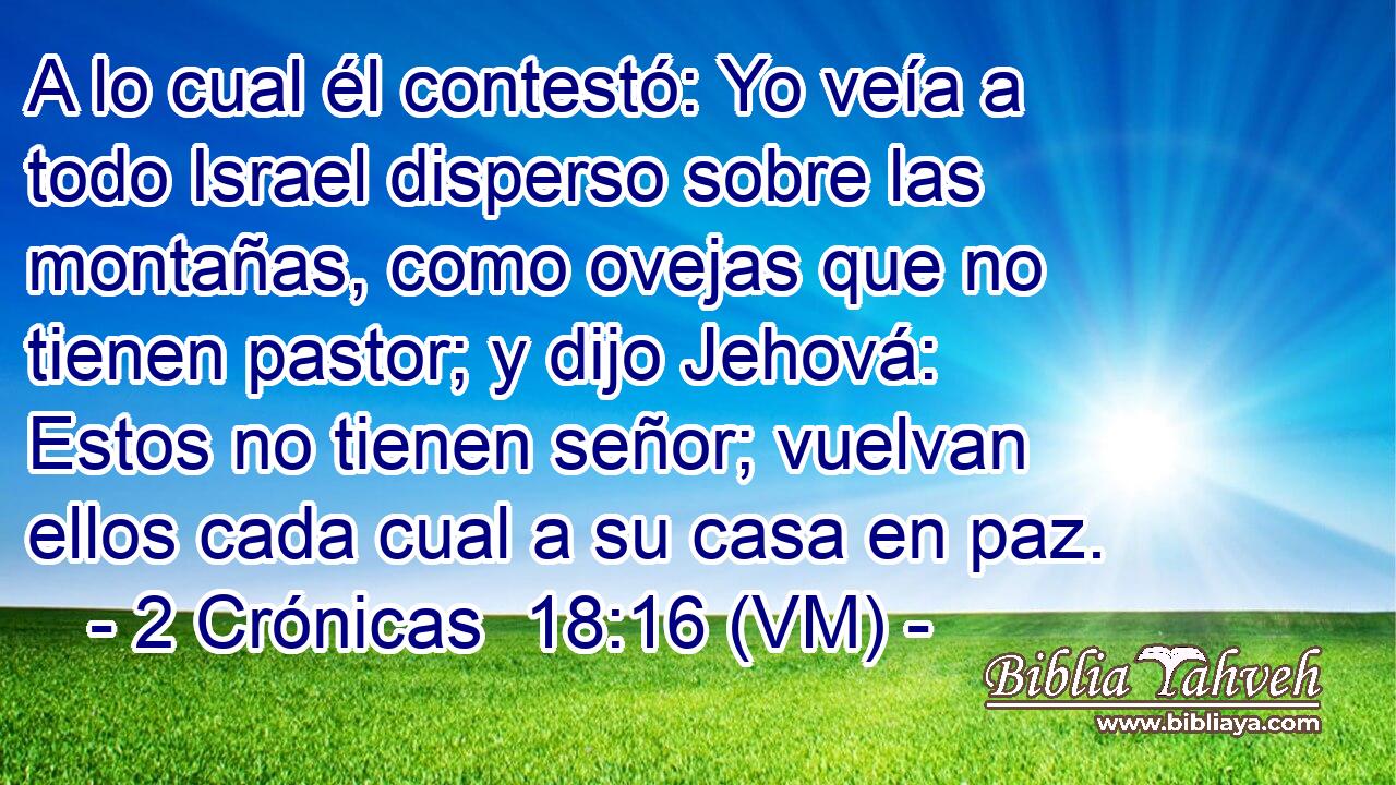 A lo cual él contestó: Yo veía a todo Israel disperso sobre las montañas, como ovejas que no tienen pastor; y dijo Jehová: Estos no tienen señor; vuelvan ellos cada cual a su casa en paz. 