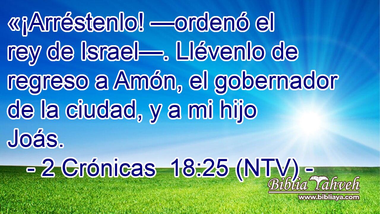 «¡Arréstenlo! —ordenó el rey de Israel—. Llévenlo de regreso a Amón, el gobernador de la ciudad, y a mi hijo Joás.