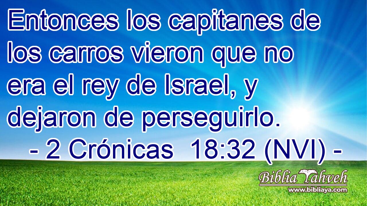  Entonces los capitanes de los carros vieron que no era el rey de Israel, y dejaron de perseguirlo. 