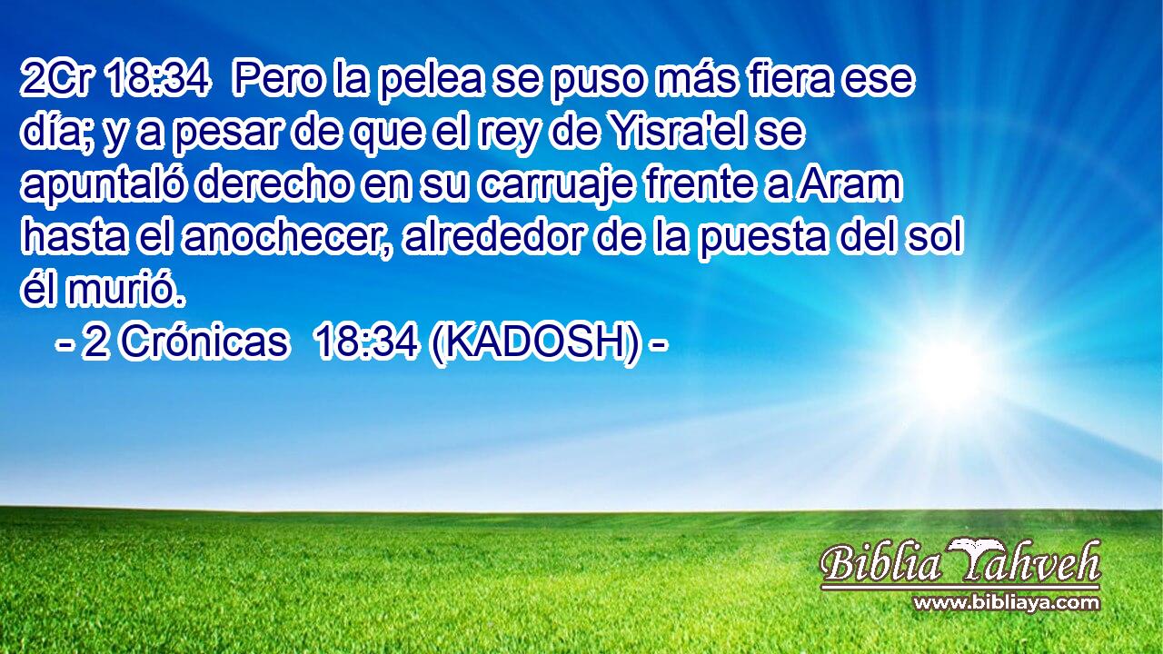  Pero la pelea se puso más fiera ese día; y a pesar de que el rey de Yisra'el se apuntaló derecho en su carruaje frente a Aram hasta el anochecer, alrededor de la puesta del sol él murió. 