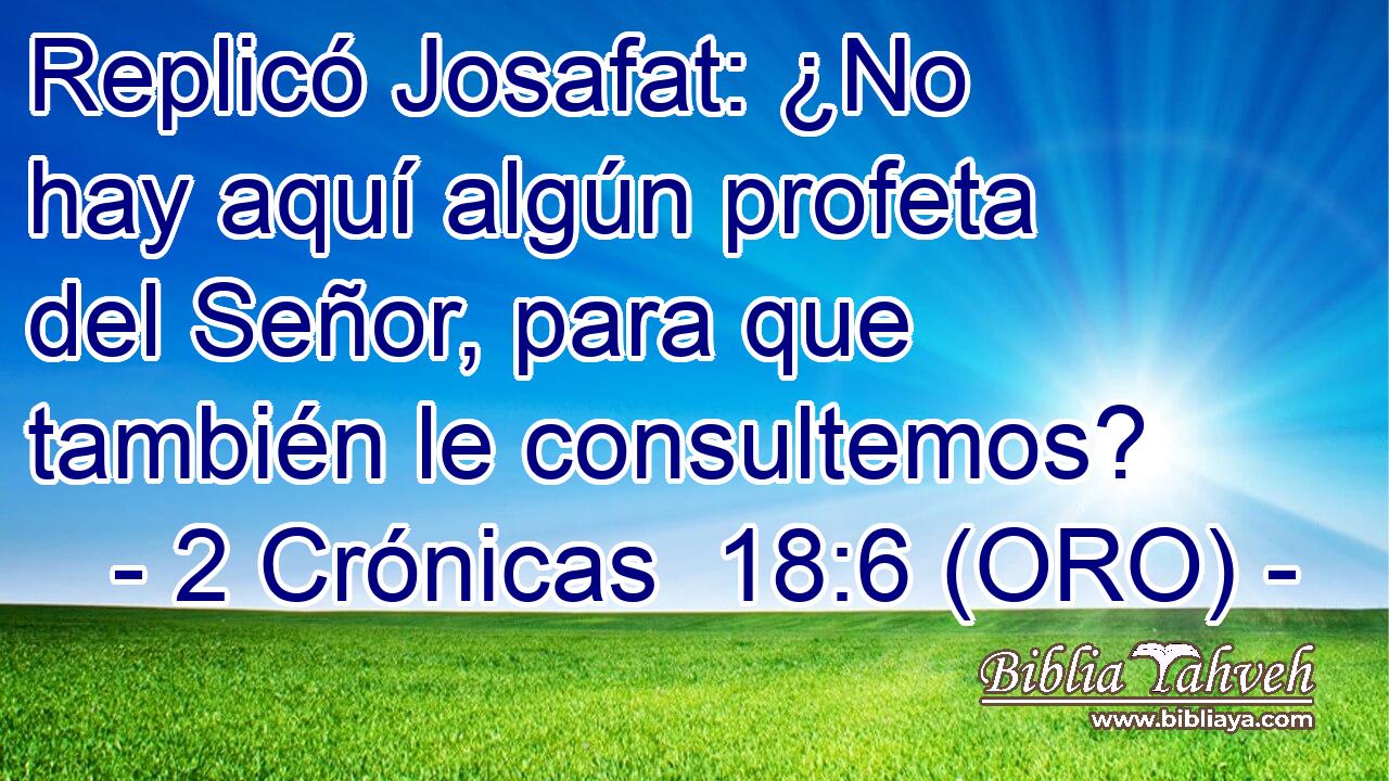  Replicó Josafat: ¿No hay aquí algún profeta del Señor, para que también le consultemos? 