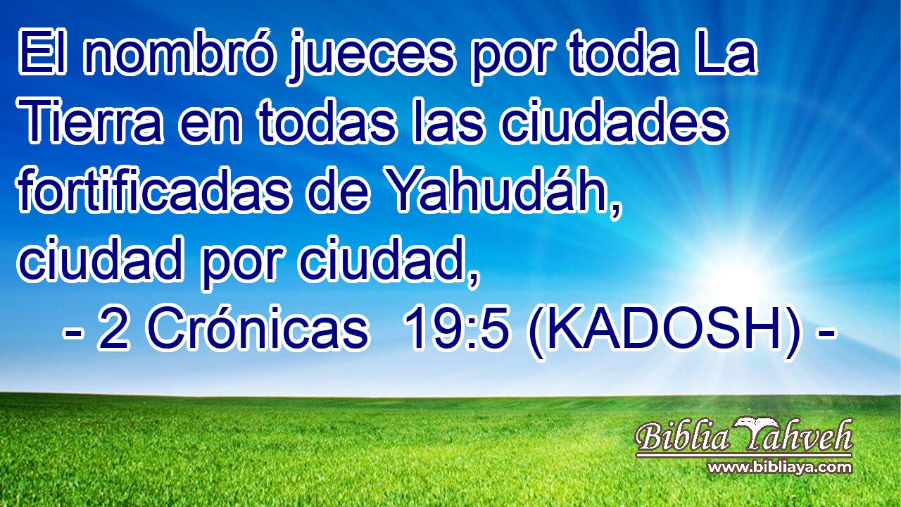  El nombró jueces por toda La Tierra en todas las ciudades fortificadas de Yahudáh, ciudad por ciudad, 