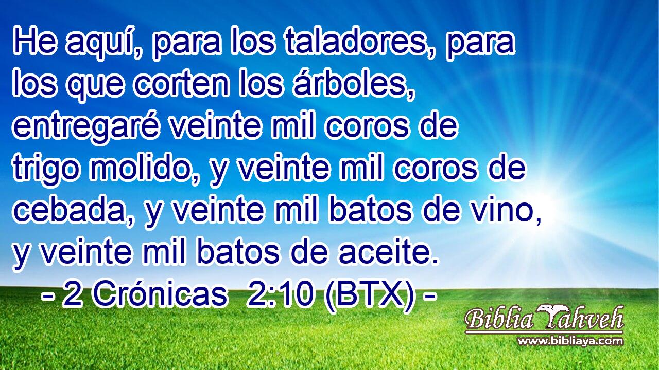 He aquí, para los taladores, para los que corten los árboles, entregaré veinte mil coros de trigo molido, y veinte mil coros de cebada, y veinte mil batos de vino, y veinte mil batos de aceite.