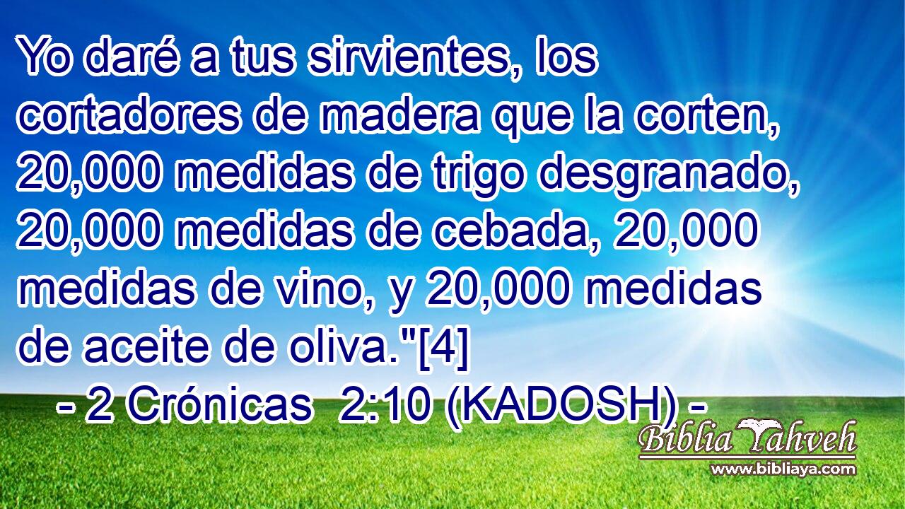  Yo daré a tus sirvientes, los cortadores de madera que la corten, 20,000 medidas de trigo desgranado, 20,000 medidas de cebada, 20,000 medidas de vino, y 20,000 medidas de aceite de oliva.
