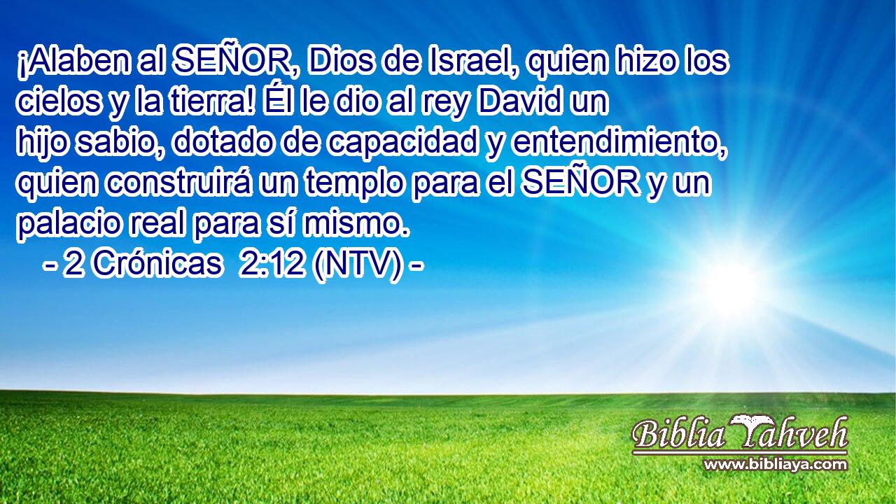 ¡Alaben al SEÑOR, Dios de Israel, quien hizo los cielos y la tierra! Él le dio al rey David un hijo sabio, dotado de capacidad y entendimiento, quien construirá un templo para el SEÑOR y un palacio real para sí mismo.