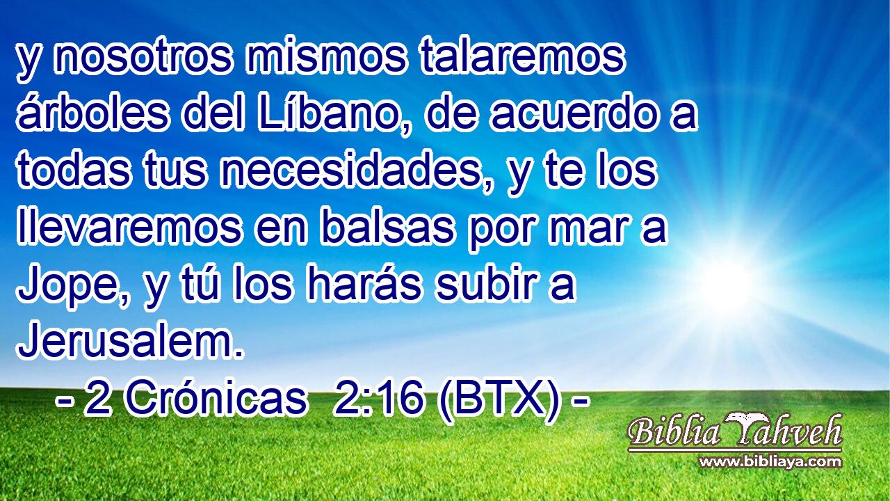 y nosotros mismos talaremos árboles del Líbano, de acuerdo a todas tus necesidades, y te los llevaremos en balsas por mar a Jope, y tú los harás subir a Jerusalem.
