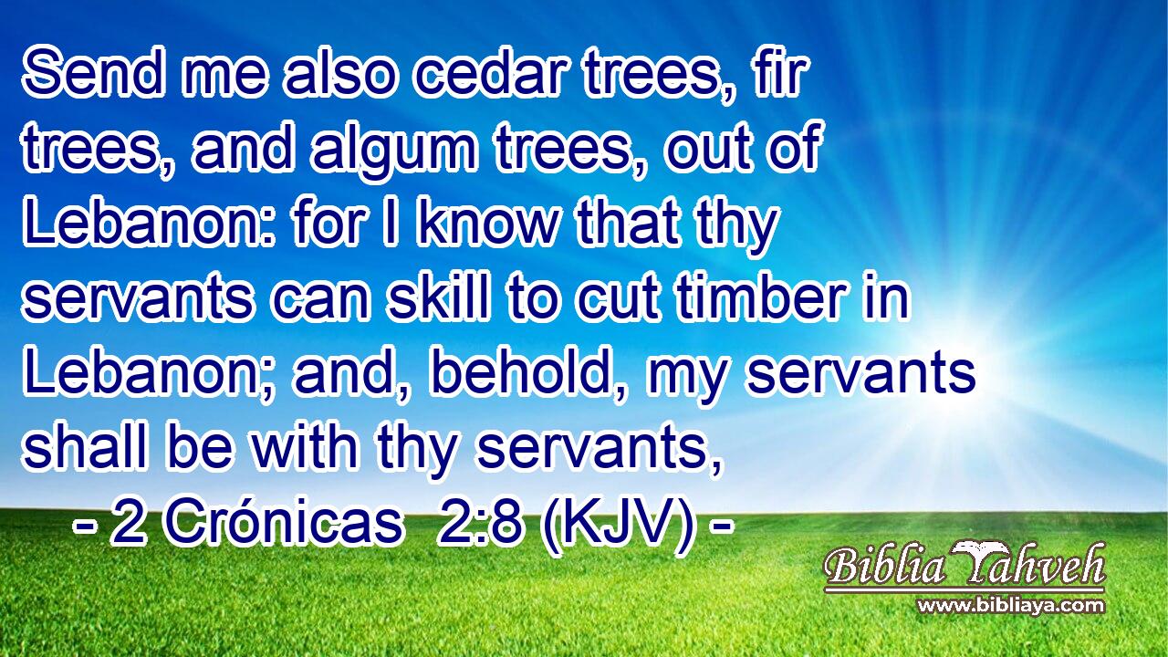 Send me also cedar trees, fir trees, and algum trees, out of Lebanon: for I know that thy servants can skill to cut timber in Lebanon; and, behold, my servants shall be with thy servants,