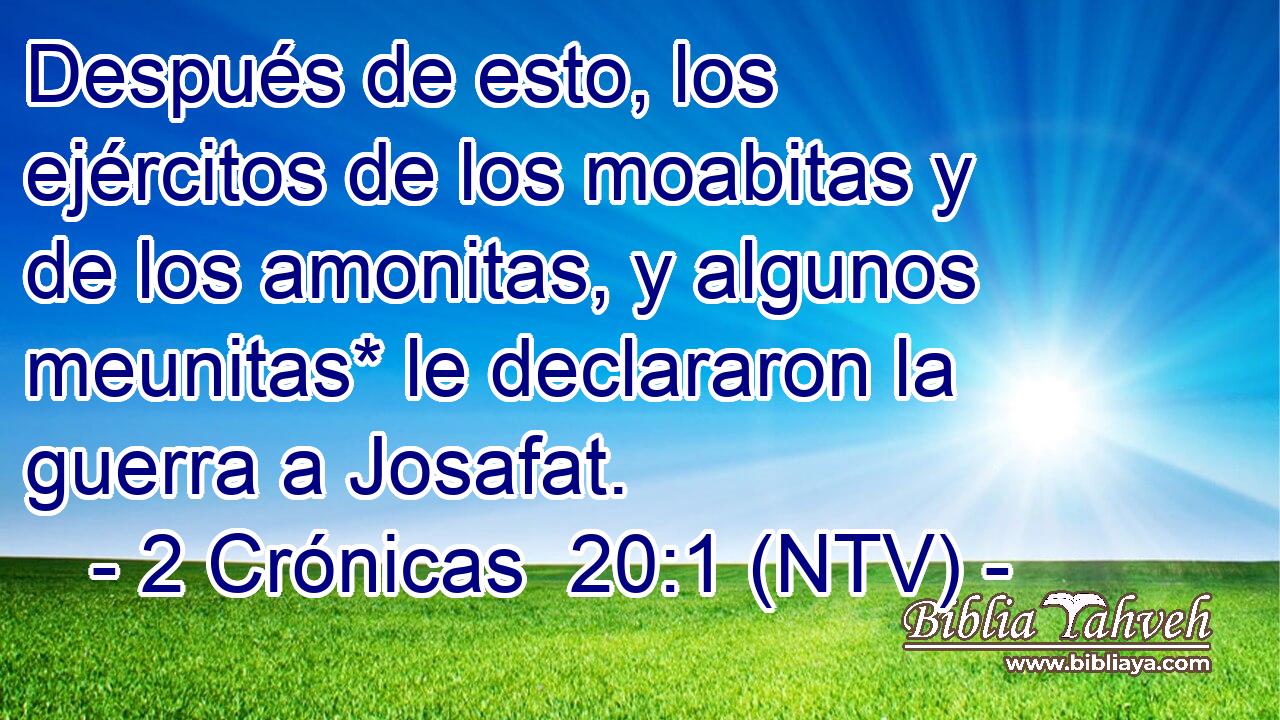 Después de esto, los ejércitos de los moabitas y de los amonitas, y algunos meunitas* le declararon la guerra a Josafat.