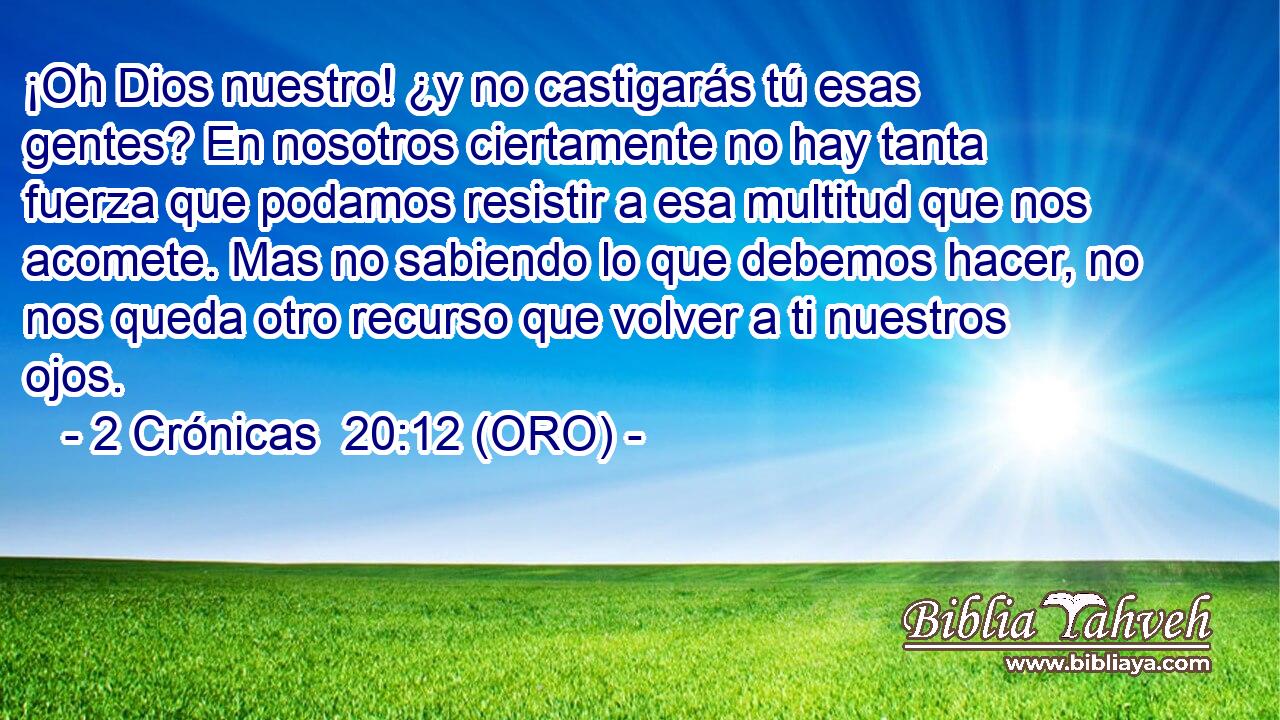  ¡Oh Dios nuestro! ¿y no castigarás tú esas gentes? En nosotros ciertamente no hay tanta fuerza que podamos resistir a esa multitud que nos acomete. Mas no sabiendo lo que debemos hacer, no nos queda otro recurso que volver a ti nuestros ojos. 