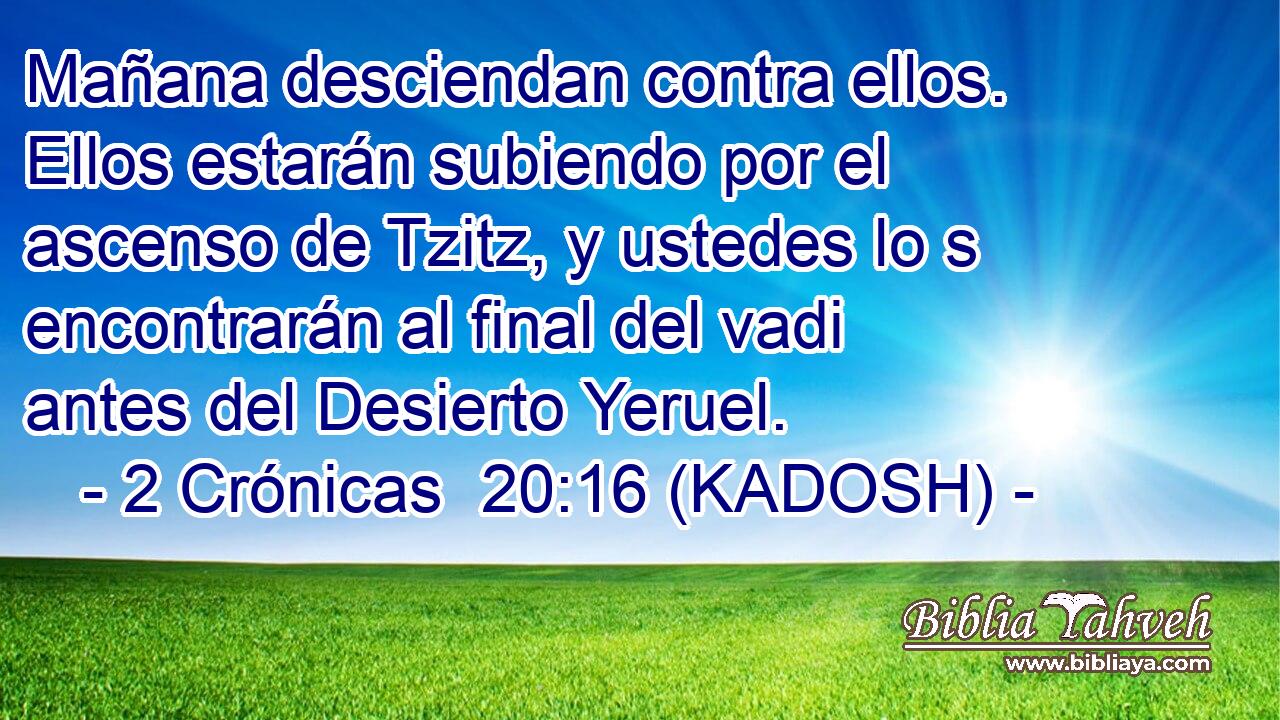  Mañana desciendan contra ellos. Ellos estarán subiendo por el ascenso de Tzitz, y ustedes lo s encontrarán al final del vadi antes del Desierto Yeruel. 
