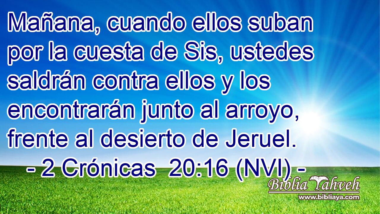  Mañana, cuando ellos suban por la cuesta de Sis, ustedes saldrán contra ellos y los encontrarán junto al arroyo, frente al desierto de Jeruel. 