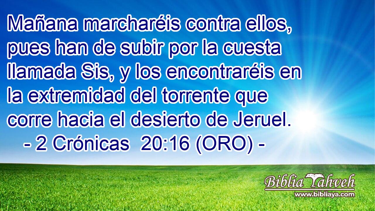  Mañana marcharéis contra ellos, pues han de subir por la cuesta llamada Sis, y los encontraréis en la extremidad del torrente que corre hacia el desierto de Jeruel. 