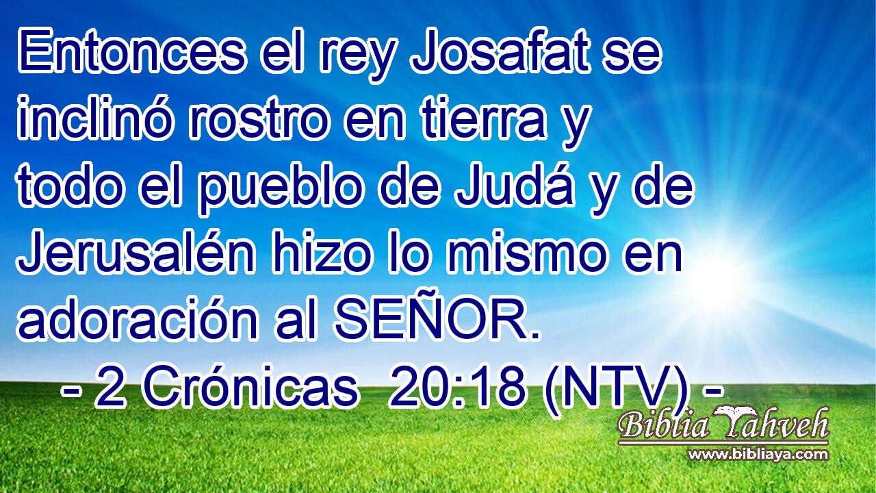 Entonces el rey Josafat se inclinó rostro en tierra y todo el pueblo de Judá y de Jerusalén hizo lo mismo en adoración al SEÑOR.