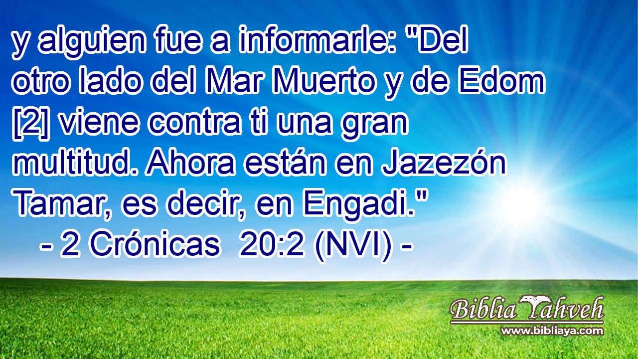  y alguien fue a informarle: 