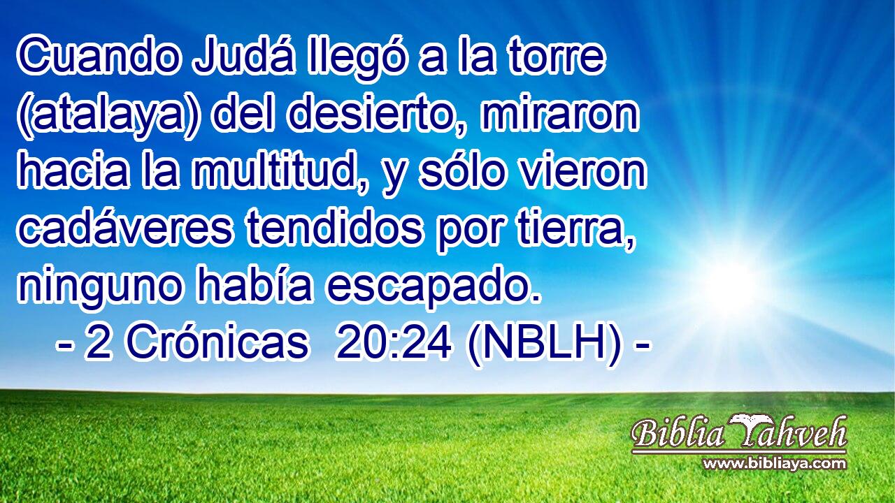  Cuando Judá llegó a la torre (atalaya) del desierto, miraron hacia la multitud, y sólo vieron cadáveres tendidos por tierra, ninguno había escapado. 