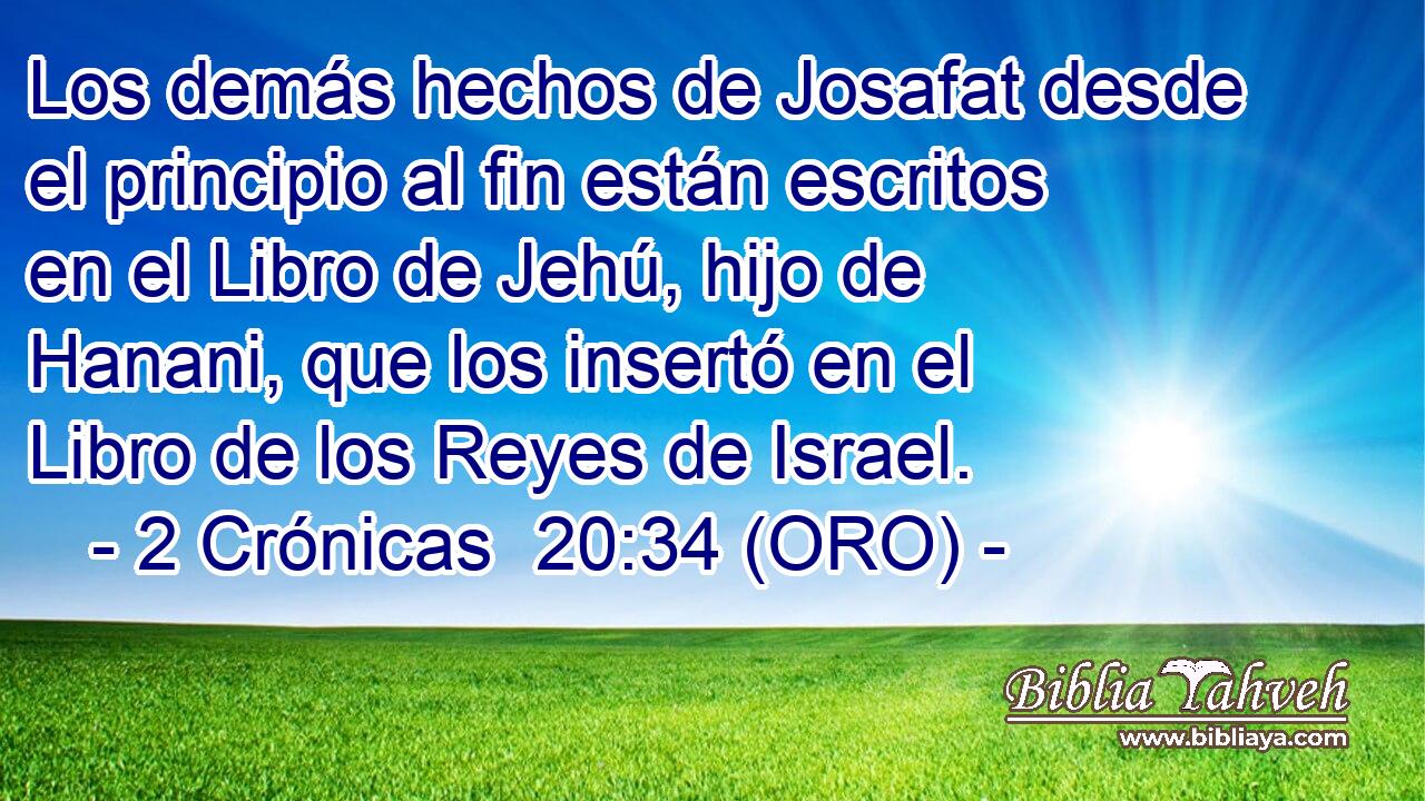  Los demás hechos de Josafat desde el principio al fin están escritos en el Libro de Jehú, hijo de Hanani, que los insertó en el Libro de los Reyes de Israel. 