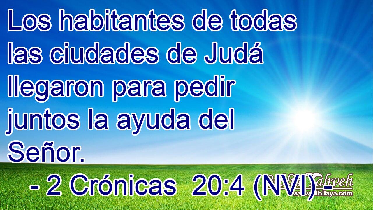 Los habitantes de todas las ciudades de Judá llegaron para pedir juntos la ayuda del Señor. 