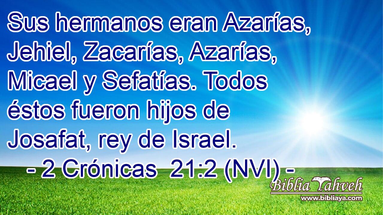  Sus hermanos eran Azarías, Jehiel, Zacarías, Azarías, Micael y Sefatías. Todos éstos fueron hijos de Josafat, rey de Israel. 