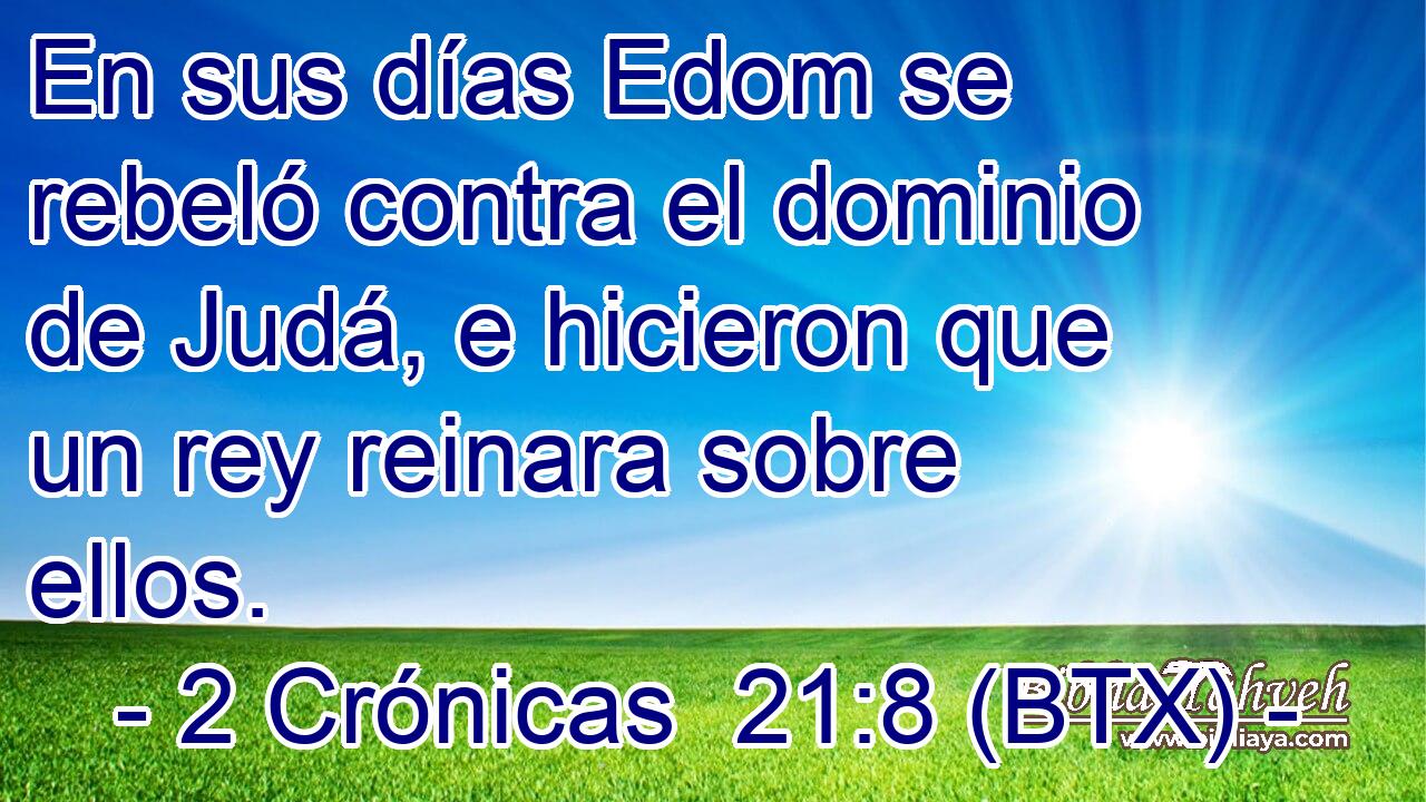 En sus días Edom se rebeló contra el dominio de Judá, e hicieron que un rey reinara sobre ellos.