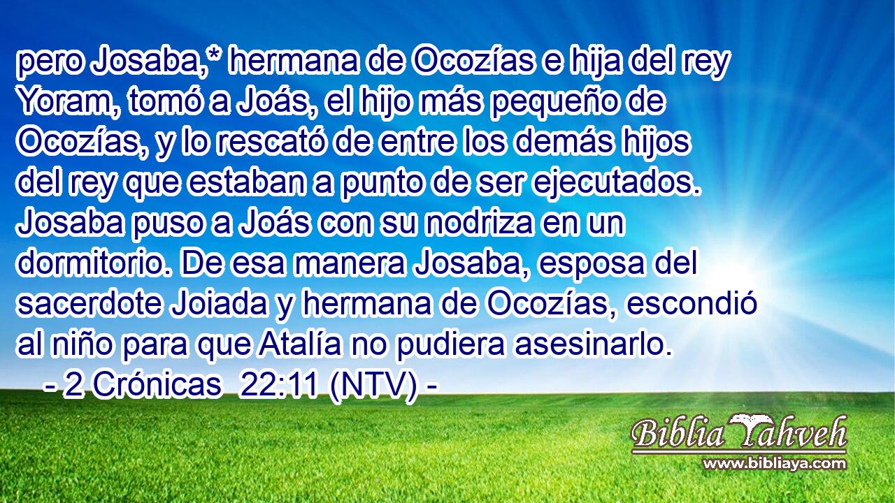 pero Josaba,* hermana de Ocozías e hija del rey Yoram, tomó a Joás, el hijo más pequeño de Ocozías, y lo rescató de entre los demás hijos del rey que estaban a punto de ser ejecutados. Josaba puso a Joás con su nodriza en un dormitorio. De esa manera Josaba, esposa del sacerdote Joiada y hermana de Ocozías, escondió al niño para que Atalía no pudiera asesinarlo.