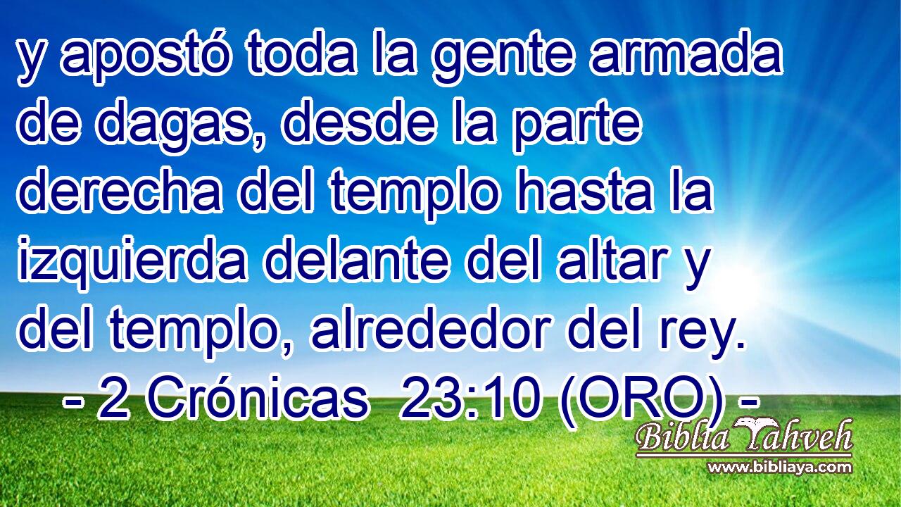  y apostó toda la gente armada de dagas, desde la parte derecha del templo hasta la izquierda delante del altar y del templo, alrededor del rey. 