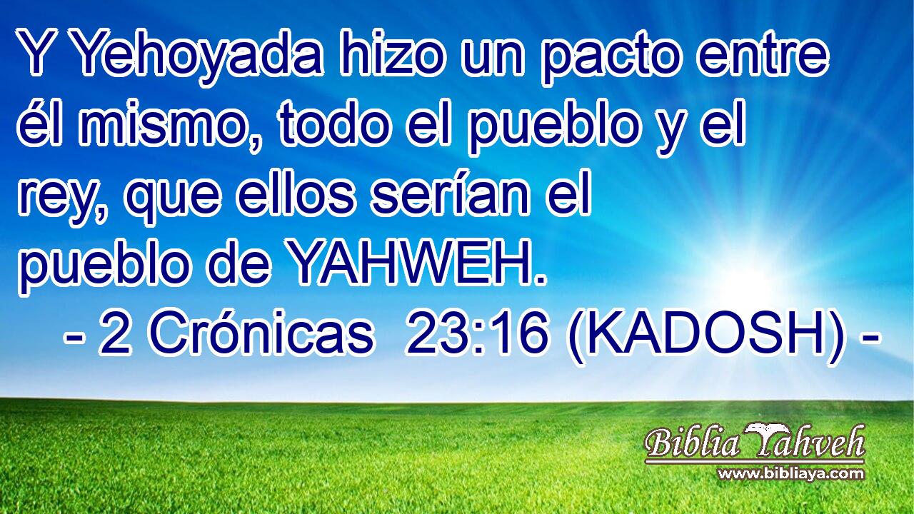  Y Yehoyada hizo un pacto entre él mismo, todo el pueblo y el rey, que ellos serían el pueblo de YAHWEH. 