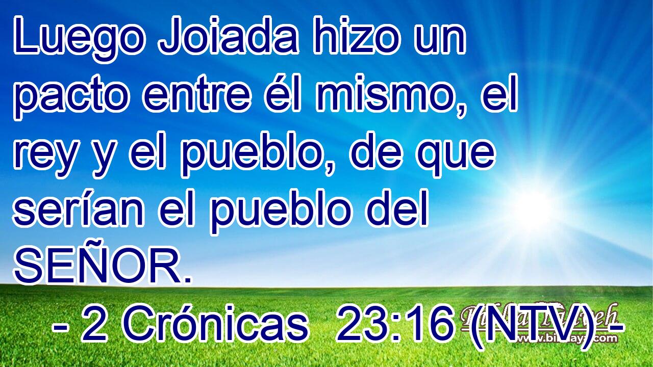 Luego Joiada hizo un pacto entre él mismo, el rey y el pueblo, de que serían el pueblo del SEÑOR.