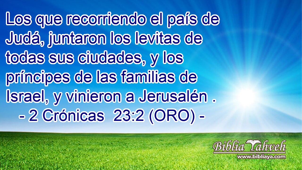  Los que recorriendo el país de Judá, juntaron los levitas de todas sus ciudades, y los príncipes de las familias de Israel, y vinieron a Jerusalén . 