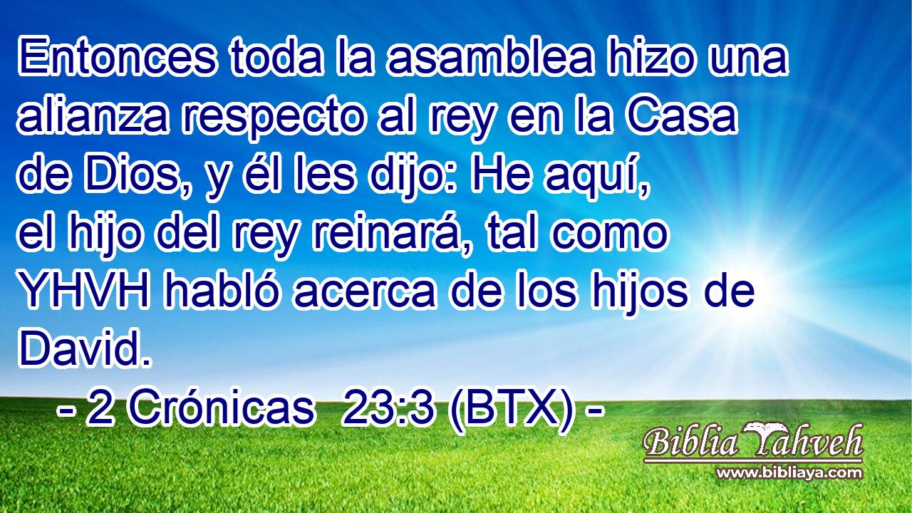 Entonces toda la asamblea hizo una alianza respecto al rey en la Casa de Dios, y él les dijo: He aquí, el hijo del rey reinará, tal como YHVH habló acerca de los hijos de David.
