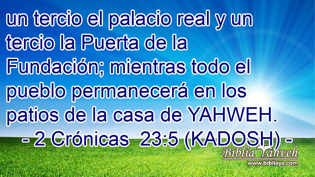  un tercio el palacio real y un tercio la Puerta de la Fundación; mientras todo el pueblo permanecerá en los patios de la casa de YAHWEH. 