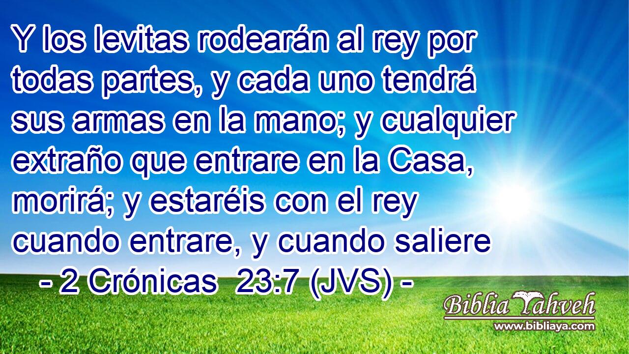 Y los levitas rodearán al rey por todas partes, y cada uno tendrá sus armas en la mano; y cualquier extraño que entrare en la Casa, morirá; y estaréis con el rey cuando entrare, y cuando saliere
