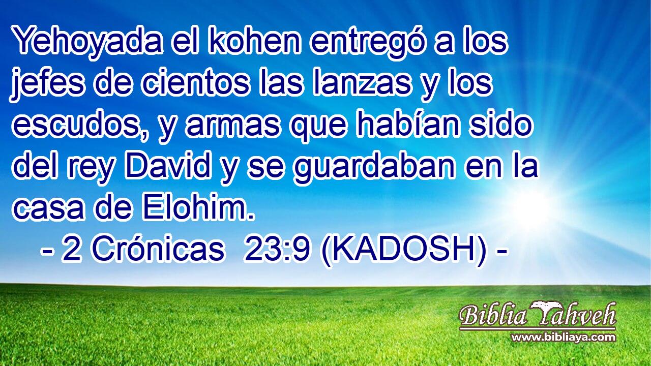  Yehoyada el kohen entregó a los jefes de cientos las lanzas y los escudos, y armas que habían sido del rey David y se guardaban en la casa de Elohim. 