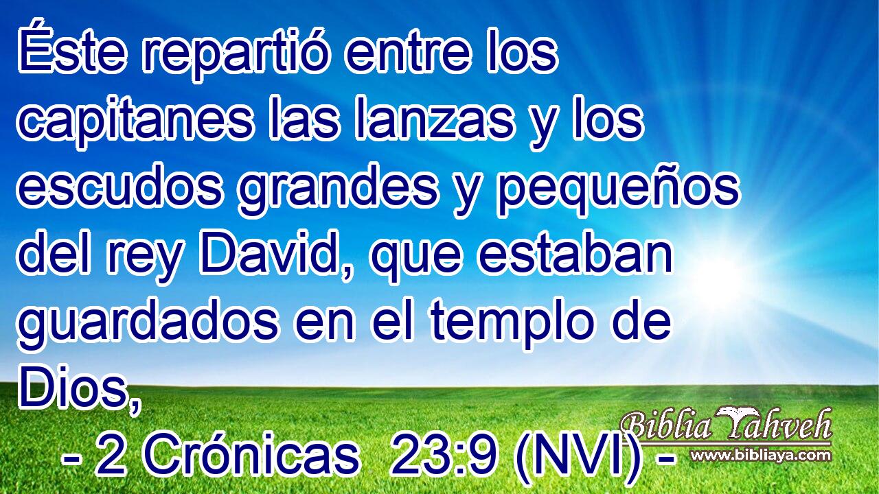  Éste repartió entre los capitanes las lanzas y los escudos grandes y pequeños del rey David, que estaban guardados en el templo de Dios, 
