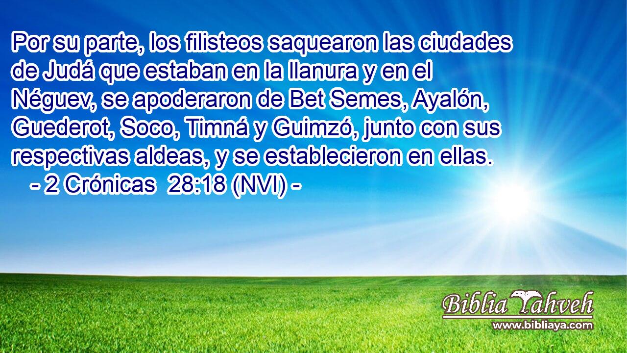  Por su parte, los filisteos saquearon las ciudades de Judá que estaban en la llanura y en el Néguev, se apoderaron de Bet Semes, Ayalón, Guederot, Soco, Timná y Guimzó, junto con sus respectivas aldeas, y se establecieron en ellas. 