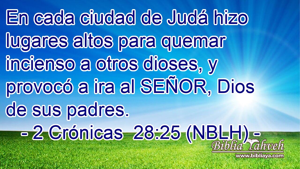  En cada ciudad de Judá hizo lugares altos para quemar incienso a otros dioses, y provocó a ira al SEÑOR, Dios de sus padres. 