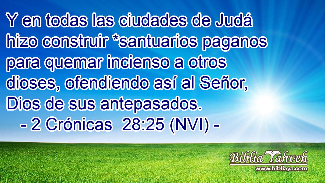  Y en todas las ciudades de Judá hizo construir *santuarios paganos para quemar incienso a otros dioses, ofendiendo así al Señor, Dios de sus antepasados. 
