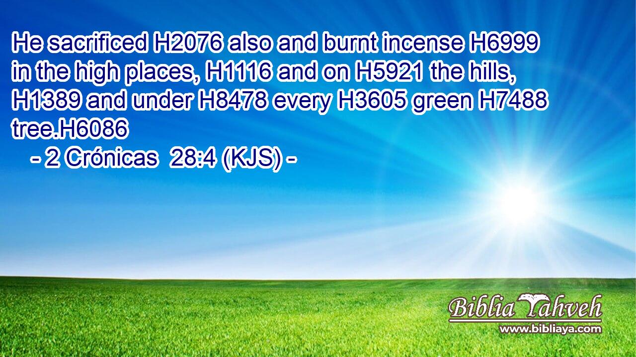 He sacrificed H2076 also and burnt incense H6999 in the high places, H1116 and on H5921 the hills, H1389 and under H8478 every H3605 green H7488 tree.H6086