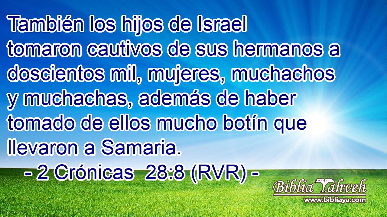 También los hijos de Israel tomaron cautivos de sus hermanos a doscientos mil, mujeres, muchachos y muchachas, además de haber tomado de ellos mucho botín que llevaron a Samaria.