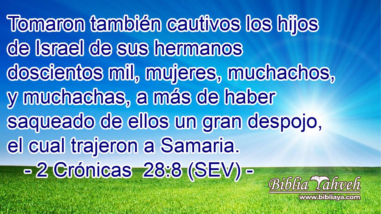 Tomaron también cautivos los hijos de Israel de sus hermanos doscientos mil, mujeres, muchachos, y muchachas, a más de haber saqueado de ellos un gran despojo, el cual trajeron a Samaria.