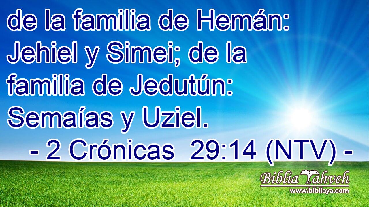 de la familia de Hemán: Jehiel y Simei; de la familia de Jedutún: Semaías y Uziel.