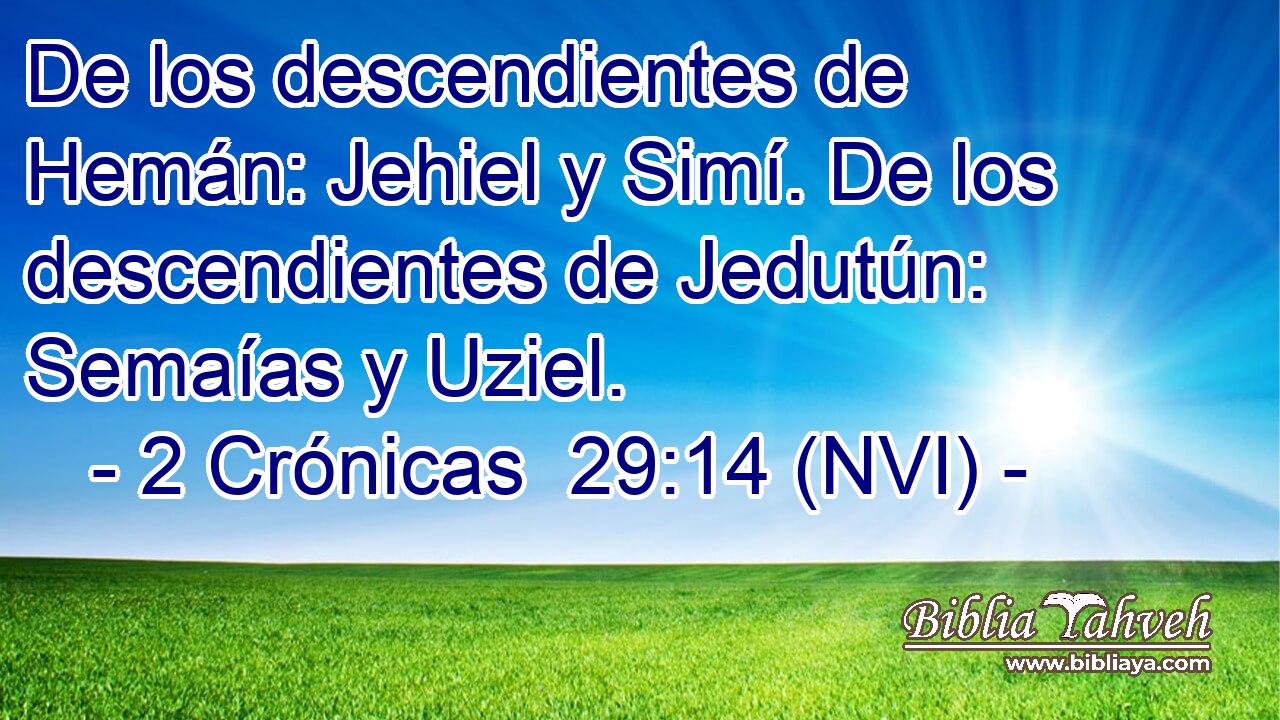  De los descendientes de Hemán: Jehiel y Simí. De los descendientes de Jedutún: Semaías y Uziel. 