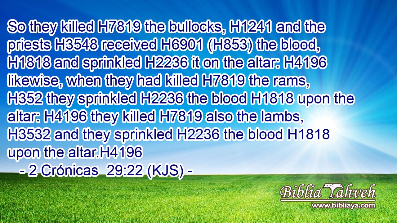 So they killed H7819 the bullocks, H1241 and the priests H3548 received H6901 (H853) the blood, H1818 and sprinkled H2236 it on the altar: H4196 likewise, when they had killed H7819 the rams, H352 they sprinkled H2236 the blood H1818 upon the altar: H4196 they killed H7819 also the lambs, H3532 and they sprinkled H2236 the blood H1818 upon the altar.H4196