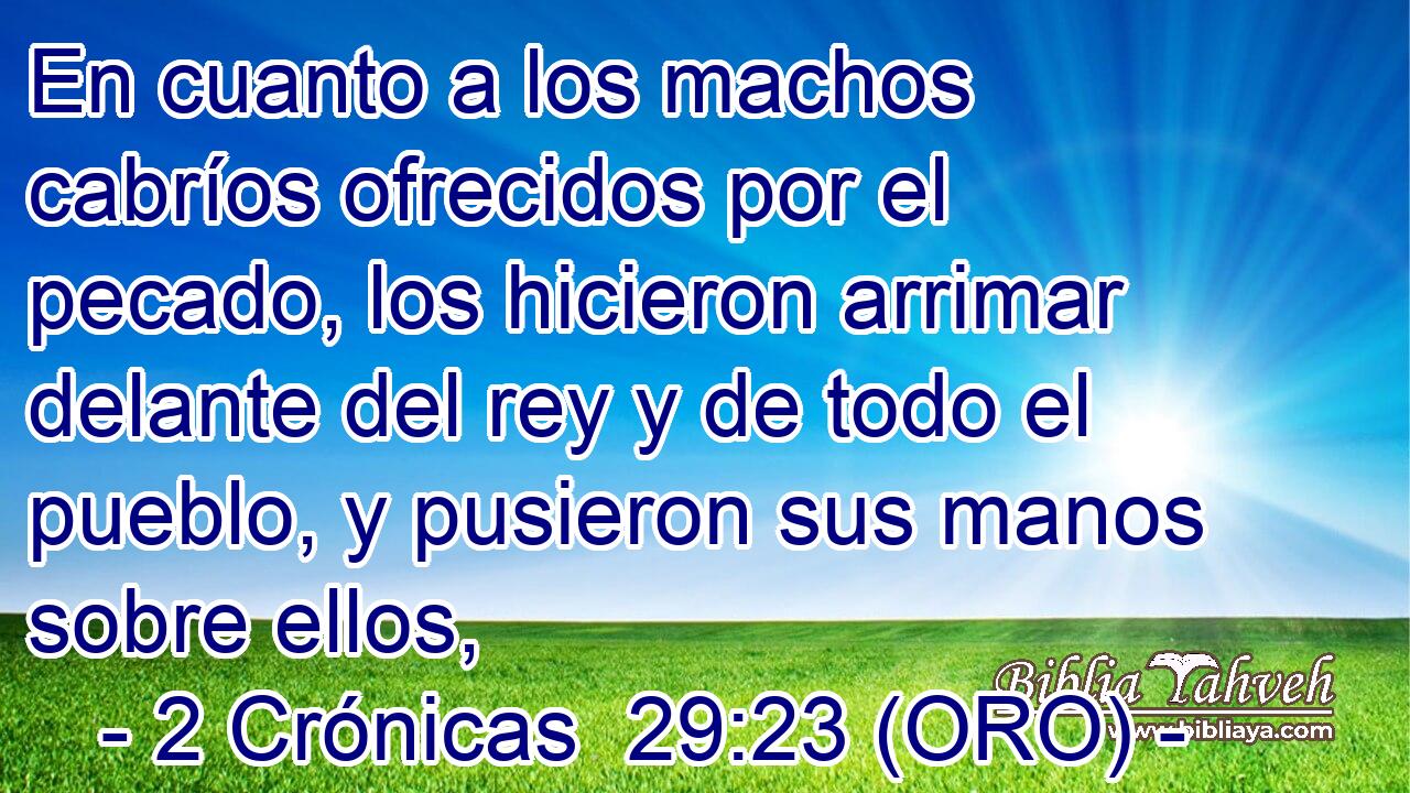  En cuanto a los machos cabríos ofrecidos por el pecado, los hicieron arrimar delante del rey y de todo el pueblo, y pusieron sus manos sobre ellos, 